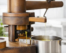 Wooden Ghani Press