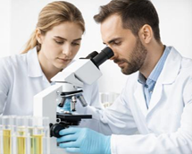 Lab Test